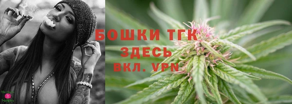 МДПВ Алапаевск