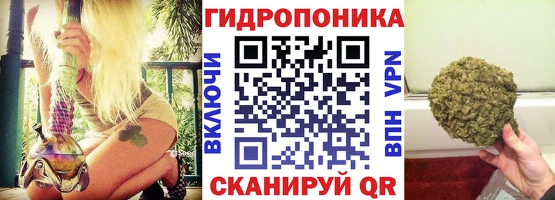 купить закладку  Вязьма  МЕГА ТОР  Бошки марихуана план 